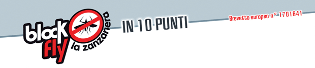 Blockfly10Punti
